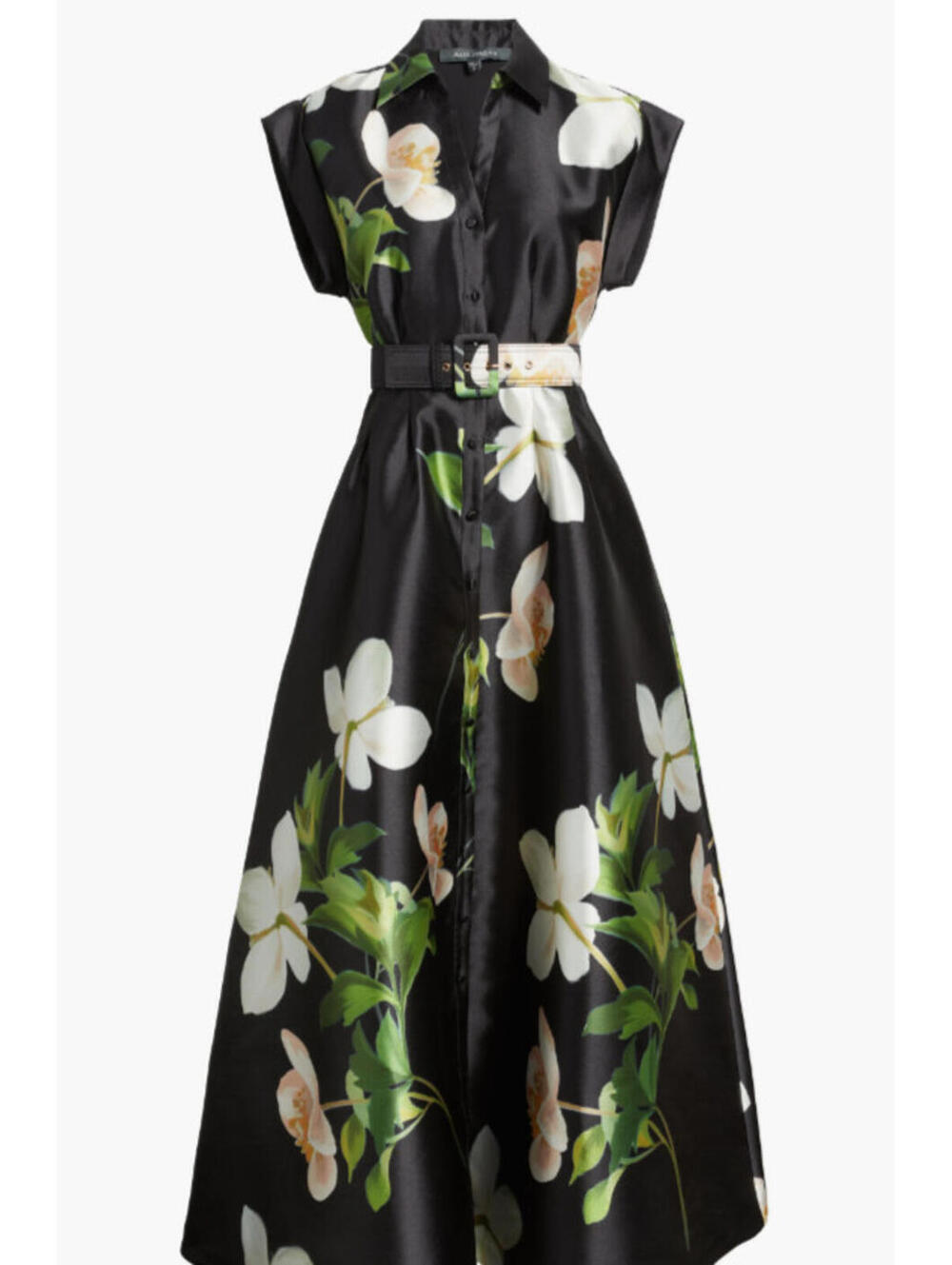 NEW Julia Jordan Belted Floral Mikado Shirtdress in Black multi Sz 6 #LD293 - Picture 2 of 9